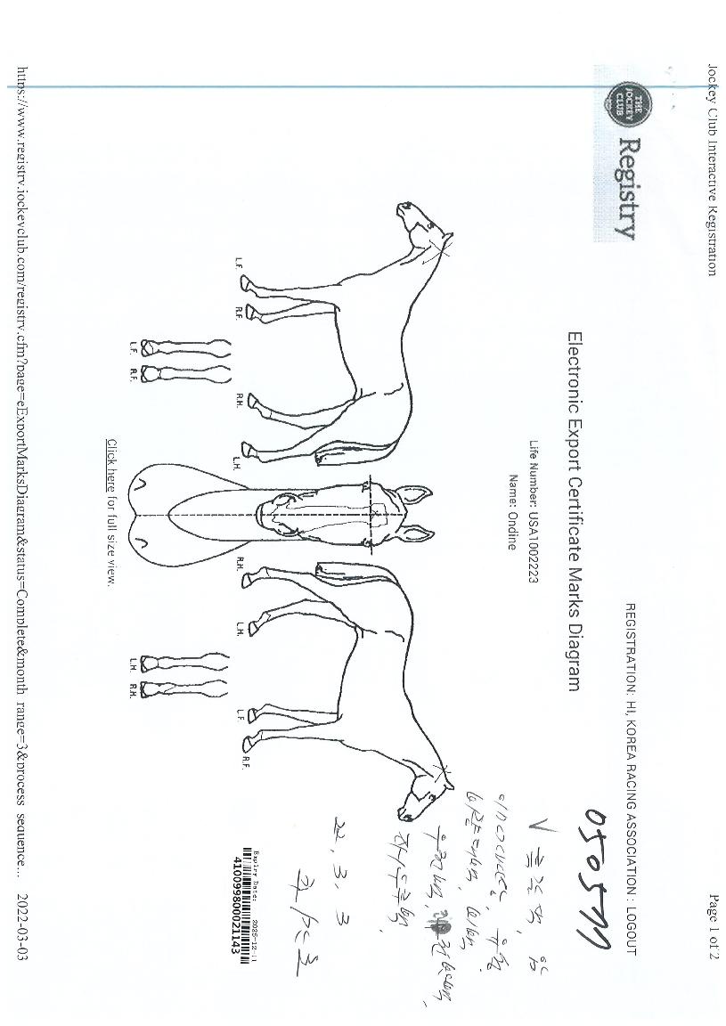 ¿ÂµòÀÇ Ãø¸é,¿ì¸é,µÞ¸é,µÎ»ó,´Ù¸®ÀÇ Æ¯Â¡µµÇØ