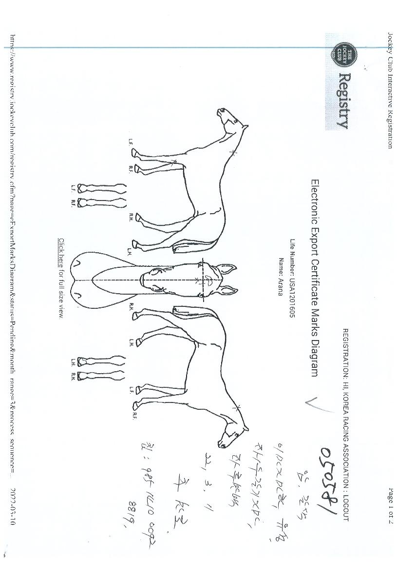 �ƶ��� ����,���,�޸�,�λ�,�ٸ��� Ư¡����