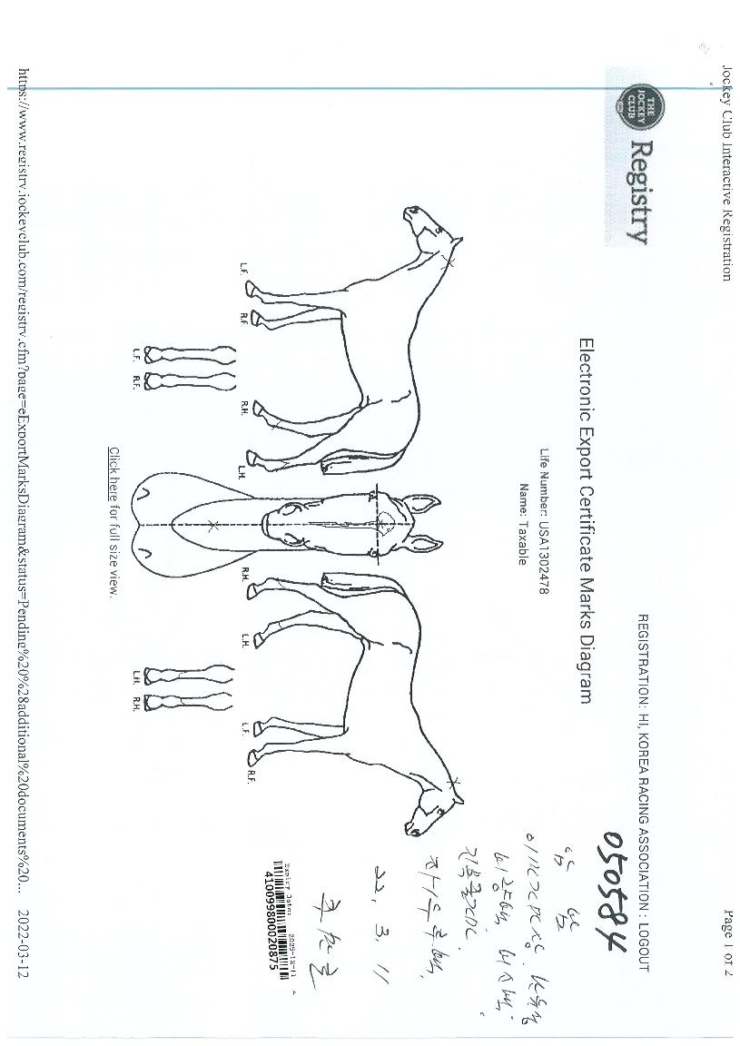 �ü����� ����,���,�޸�,�λ�,�ٸ��� Ư¡����