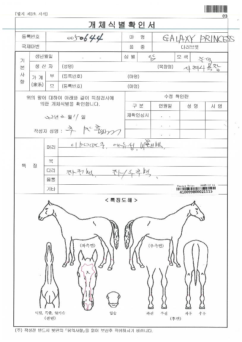 °¶·°½ÃÇÁ¸°¼¼½ºÀÇ Ãø¸é,¿ì¸é,µÞ¸é,µÎ»ó,´Ù¸®ÀÇ Æ¯Â¡µµÇØ