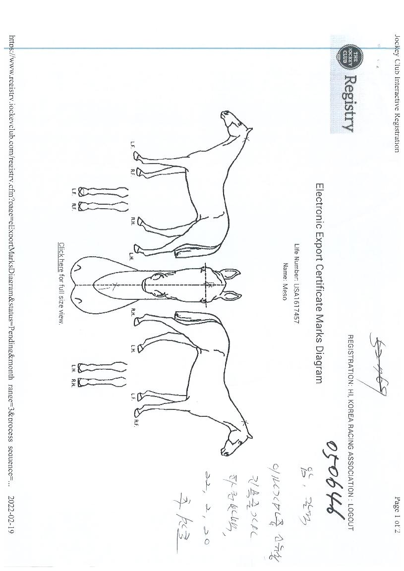 ¸Þ¼ÒÀÇ Ãø¸é,¿ì¸é,µÞ¸é,µÎ»ó,´Ù¸®ÀÇ Æ¯Â¡µµÇØ