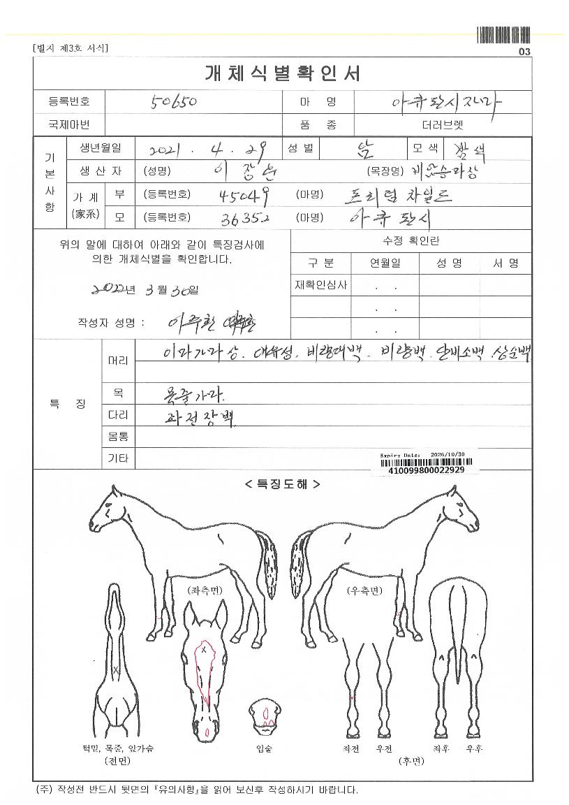 ¾ÆÅ¥ÆÇ½ÃÀÚ¸¶ÀÇ Ãø¸é,¿ì¸é,µÞ¸é,µÎ»ó,´Ù¸®ÀÇ Æ¯Â¡µµÇØ