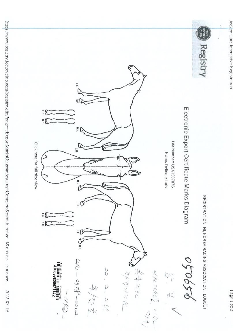 µ¨¸®ÄÆ·¹À̵ðÀÇ Ãø¸é,¿ì¸é,µÞ¸é,µÎ»ó,´Ù¸®ÀÇ Æ¯Â¡µµÇØ