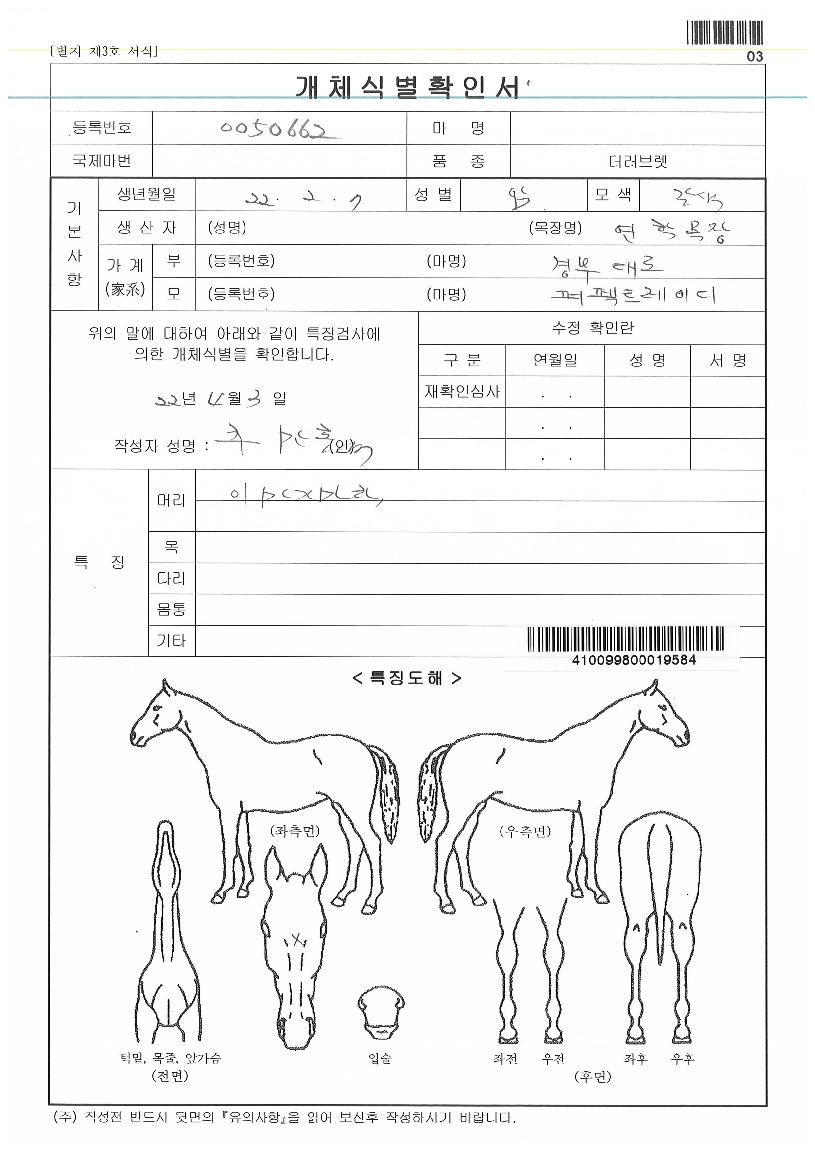 ����Ʈ���̵��ڸ��� ����,���,�޸�,�λ�,�ٸ��� Ư¡����