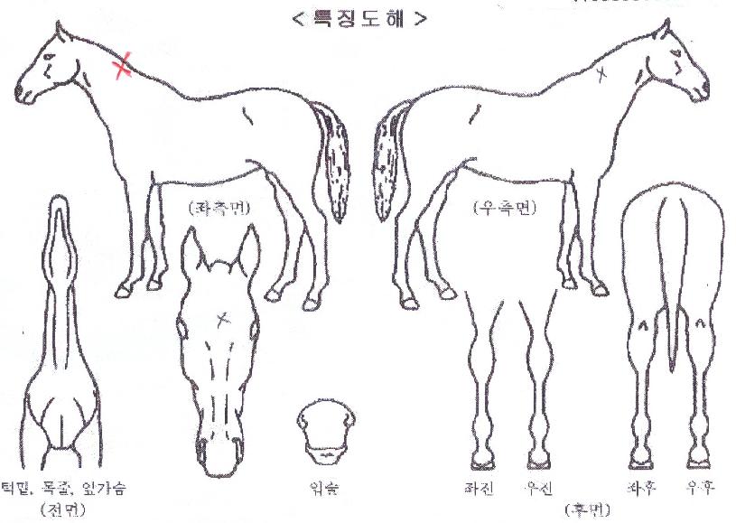 ��ť����Ÿ���� ����,���,�޸�,�λ�,�ٸ��� Ư¡����