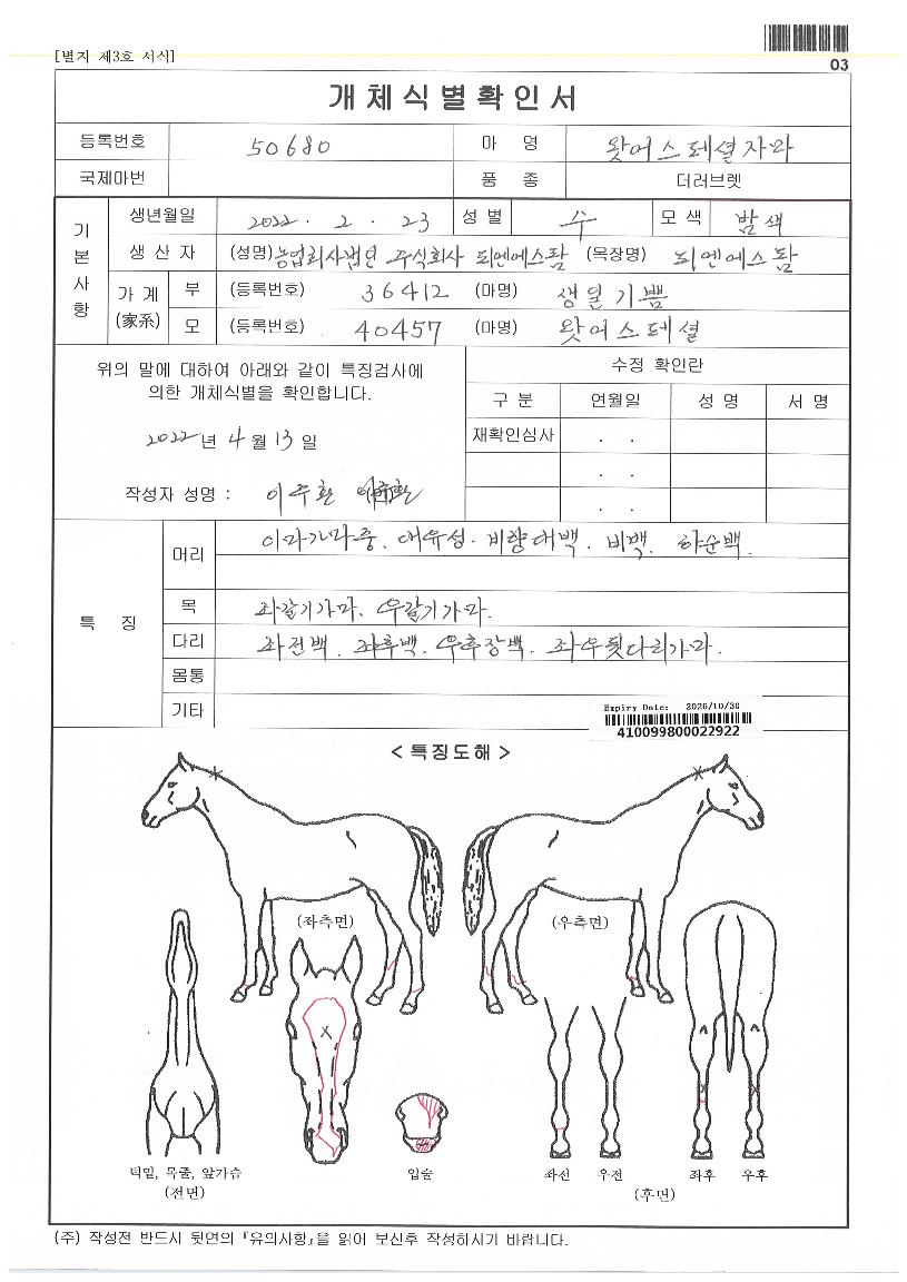 ¿Ó¾î½ºÆä¼ÈÀÚ¸¶ÀÇ Ãø¸é,¿ì¸é,µÞ¸é,µÎ»ó,´Ù¸®ÀÇ Æ¯Â¡µµÇØ