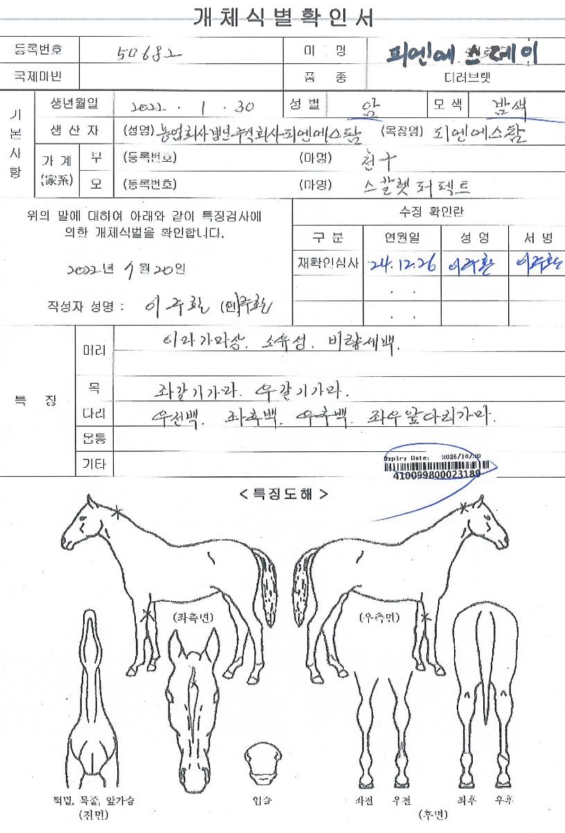 �ǿ����������� ����,���,�޸�,�λ�,�ٸ��� Ư¡����