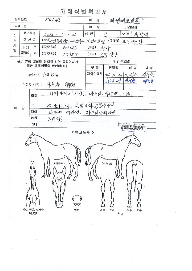 ÇÇ¿£¿¡½ºÈ÷Æ®ÀÇ Ãø¸é,¿ì¸é,µÞ¸é,µÎ»ó,´Ù¸®ÀÇ Æ¯Â¡µµÇØ