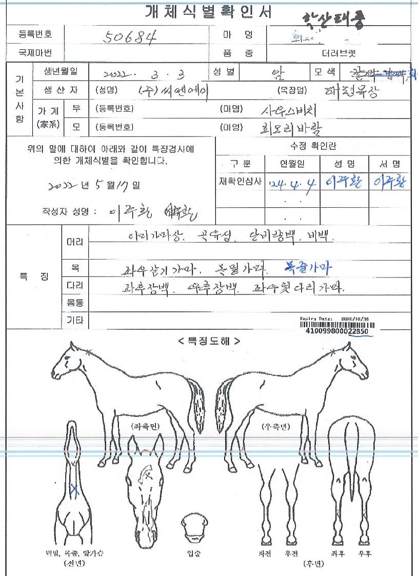 ÇлêÅÂdzÀÇ Ãø¸é,¿ì¸é,µÞ¸é,µÎ»ó,´Ù¸®ÀÇ Æ¯Â¡µµÇØ
