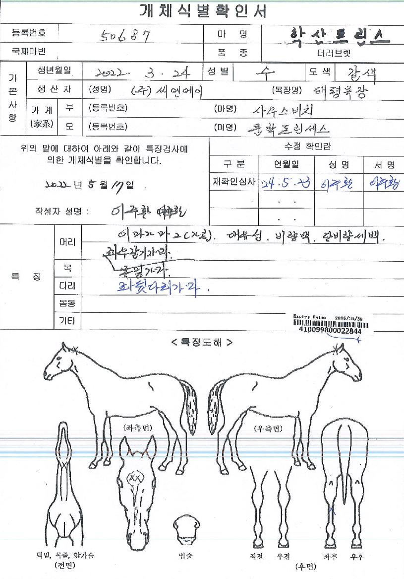 ÇлêÇÁ¸°½ºÀÇ Ãø¸é,¿ì¸é,µÞ¸é,µÎ»ó,´Ù¸®ÀÇ Æ¯Â¡µµÇØ