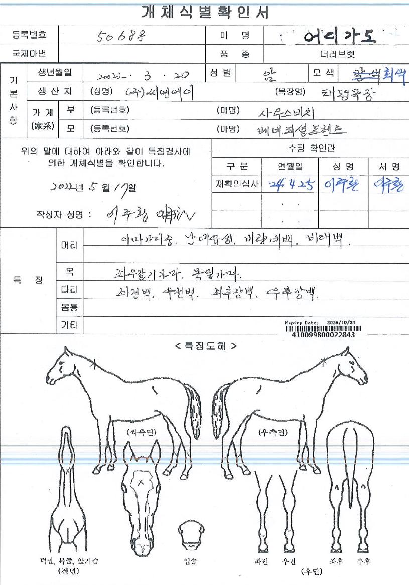 ��𰡵��� ����,���,�޸�,�λ�,�ٸ��� Ư¡����