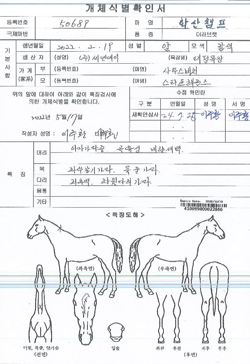 �л�è���� ����,���,�޸�,�λ�,�ٸ��� Ư¡����