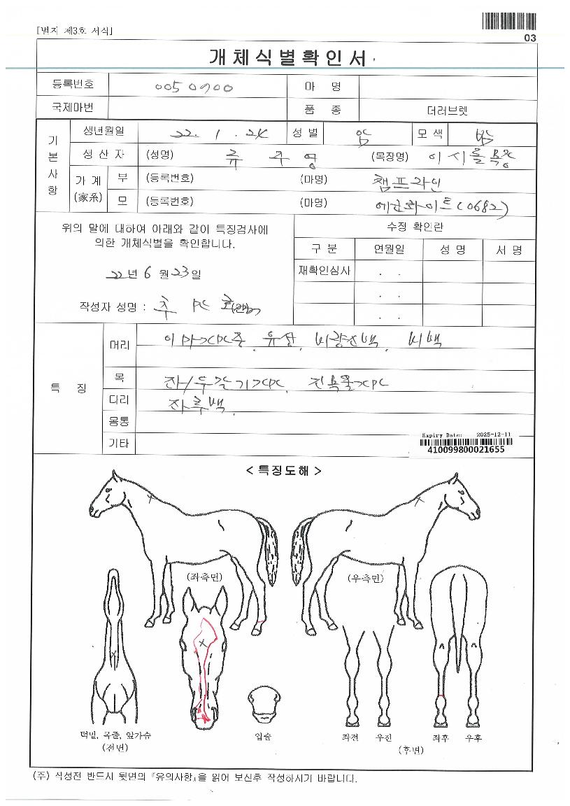 ¿¡ÄÚèÇÁÀÇ Ãø¸é,¿ì¸é,µÞ¸é,µÎ»ó,´Ù¸®ÀÇ Æ¯Â¡µµÇØ