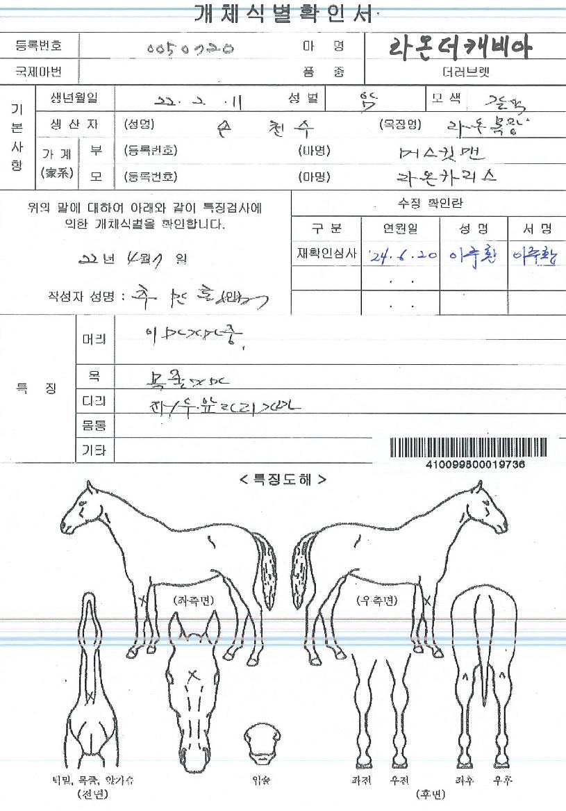 ¶ó¿Â´õijºñ¾ÆÀÇ Ãø¸é,¿ì¸é,µÞ¸é,µÎ»ó,´Ù¸®ÀÇ Æ¯Â¡µµÇØ