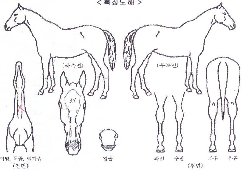 ���Ϳ���ž�� ����,���,�޸�,�λ�,�ٸ��� Ư¡����