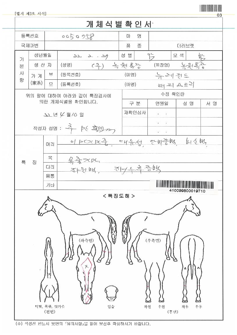 ÅÂÇǽºÆ®¸®ÀÚ¸¶ÀÇ Ãø¸é,¿ì¸é,µÞ¸é,µÎ»ó,´Ù¸®ÀÇ Æ¯Â¡µµÇØ