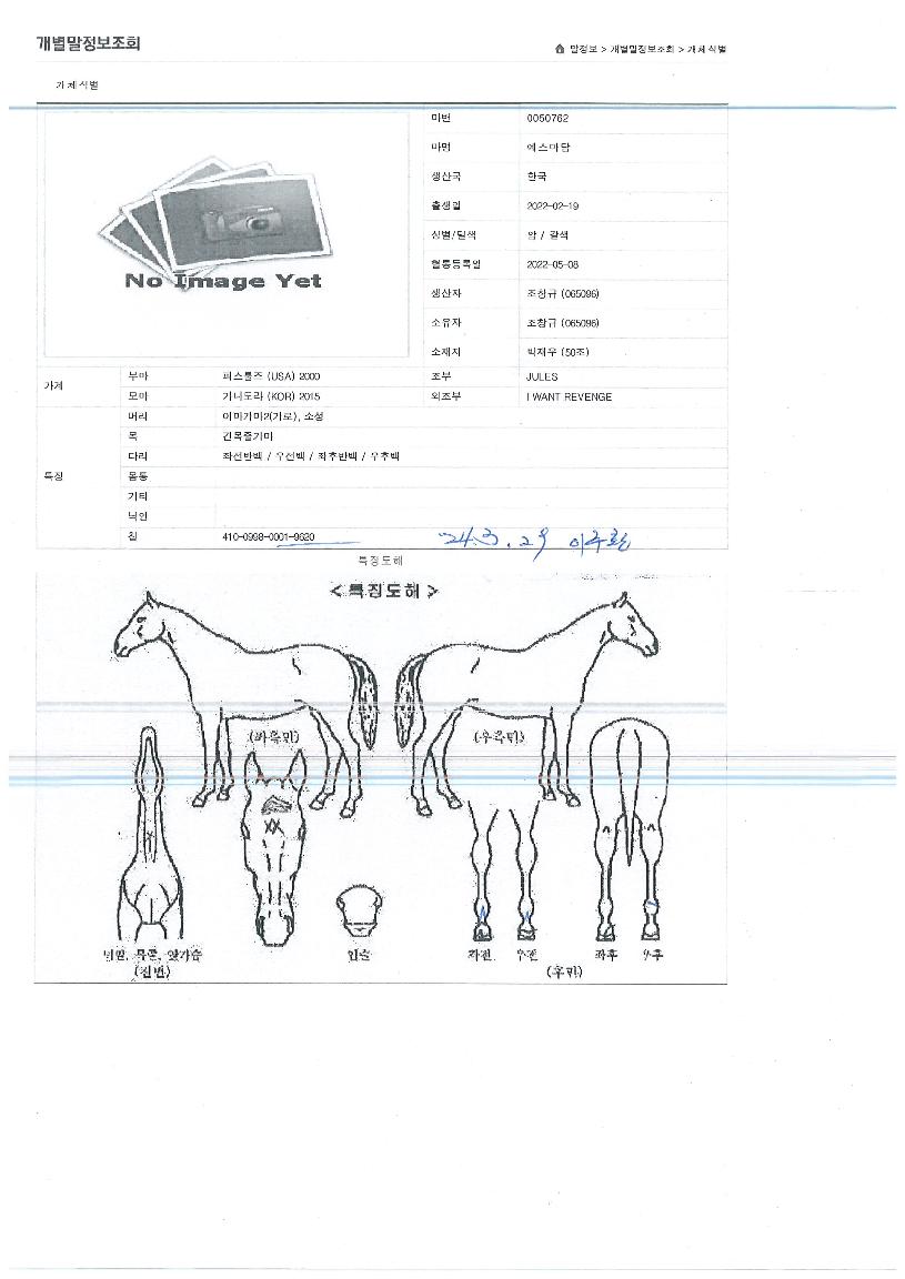 ¿¹½º¸¶´ãÀÇ Ãø¸é,¿ì¸é,µÞ¸é,µÎ»ó,´Ù¸®ÀÇ Æ¯Â¡µµÇØ