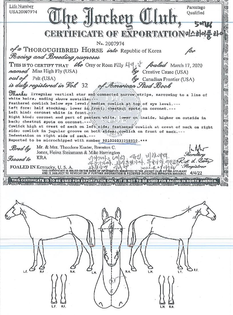 �̽������ö����� ����,���,�޸�,�λ�,�ٸ��� Ư¡����