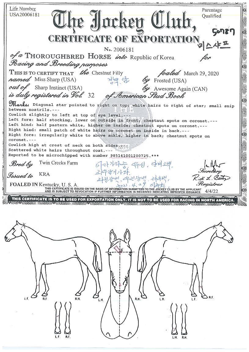 �̽������� ����,���,�޸�,�λ�,�ٸ��� Ư¡����