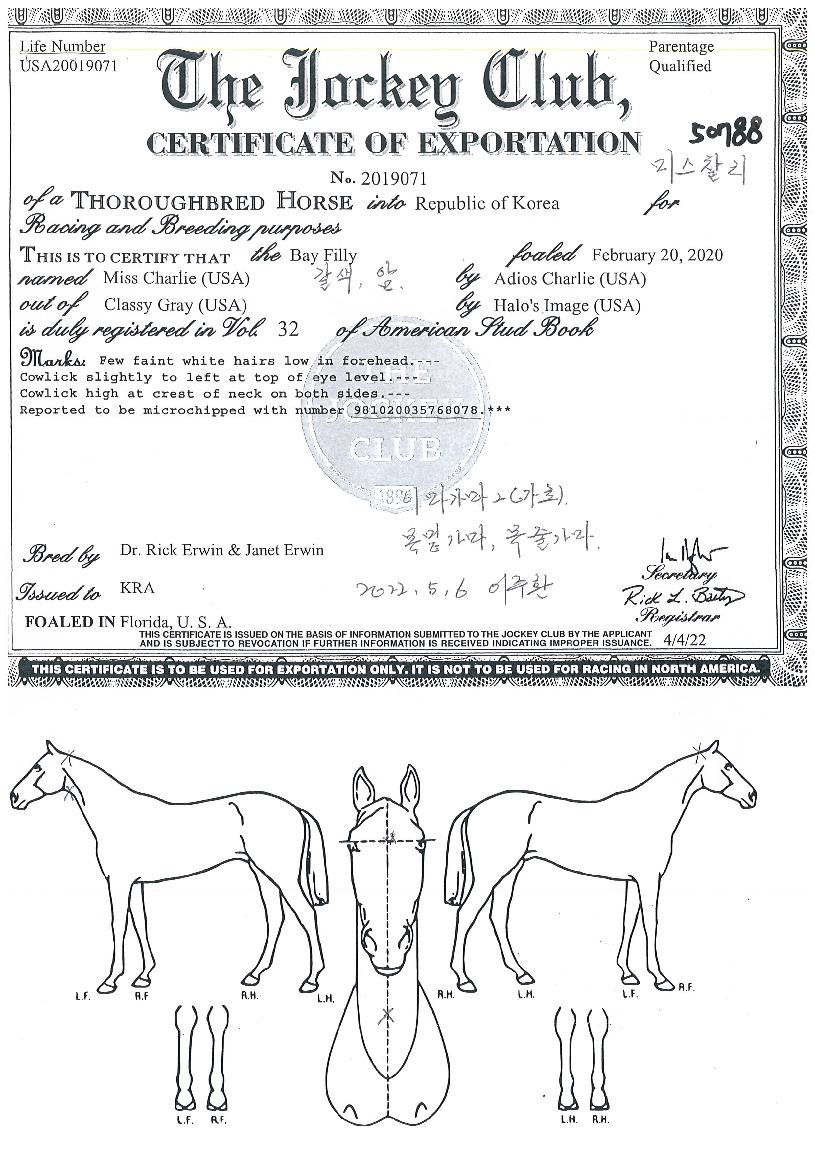 ¹Ì½ºÂû¸®ÀÇ Ãø¸é,¿ì¸é,µÞ¸é,µÎ»ó,´Ù¸®ÀÇ Æ¯Â¡µµÇØ