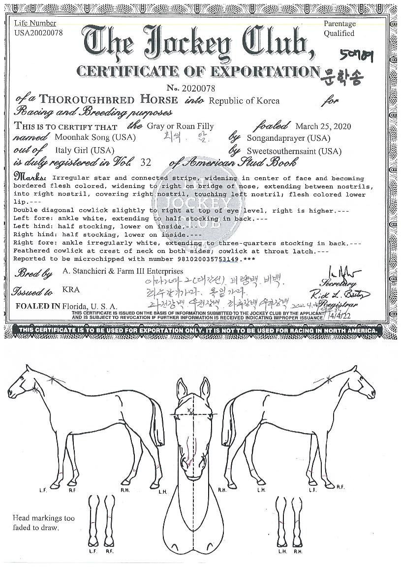 ���м��� ����,���,�޸�,�λ�,�ٸ��� Ư¡����