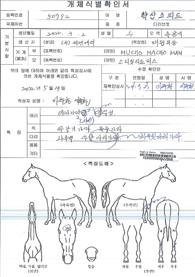 Çл꽺ÇǵåÀÇ Ãø¸é,¿ì¸é,µÞ¸é,µÎ»ó,´Ù¸®ÀÇ Æ¯Â¡µµÇØ