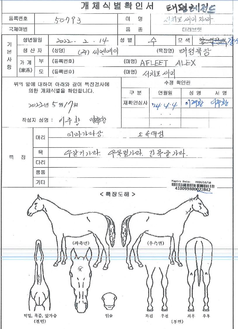 ���������� ����,���,�޸�,�λ�,�ٸ��� Ư¡����