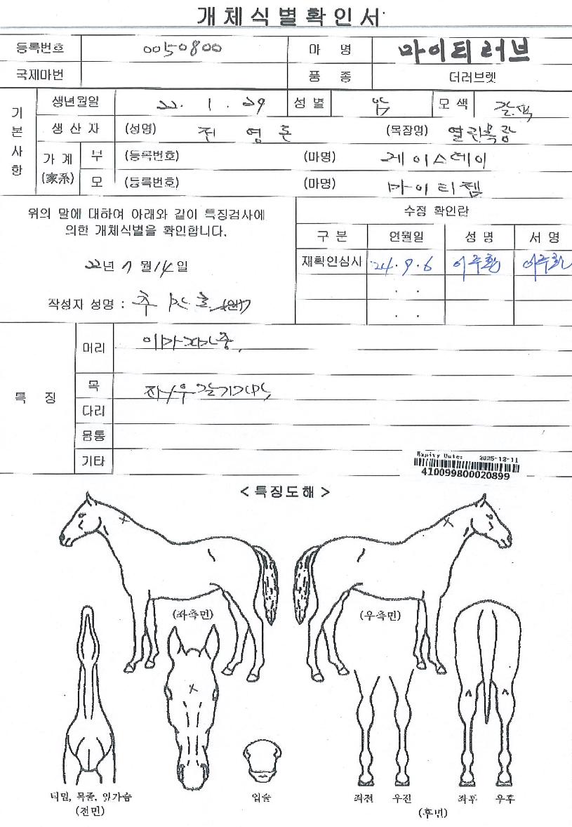 ¸¶ÀÌÆ¼·¯ºêÀÇ Ãø¸é,¿ì¸é,µÞ¸é,µÎ»ó,´Ù¸®ÀÇ Æ¯Â¡µµÇØ