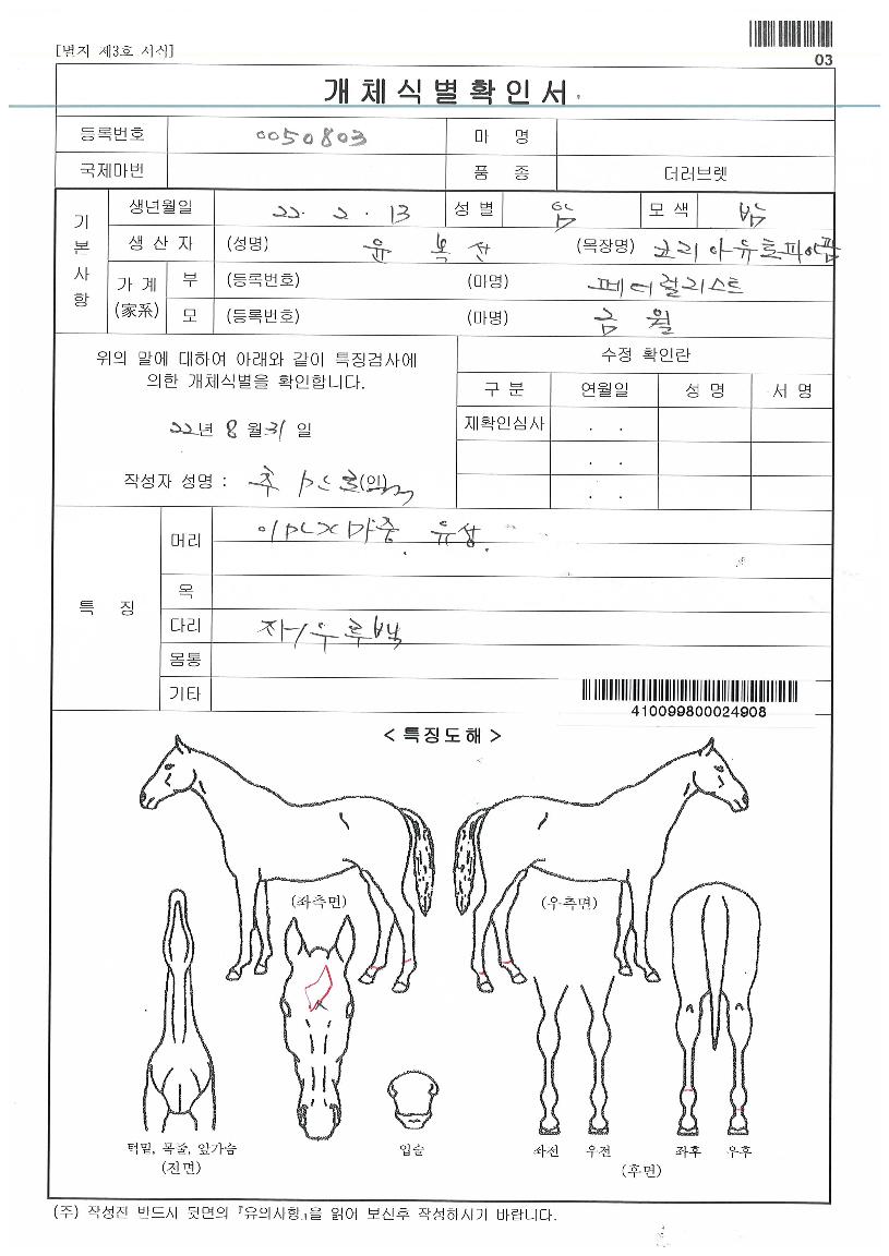 Àº¼ºÁúÁÖÀÇ Ãø¸é,¿ì¸é,µÞ¸é,µÎ»ó,´Ù¸®ÀÇ Æ¯Â¡µµÇØ