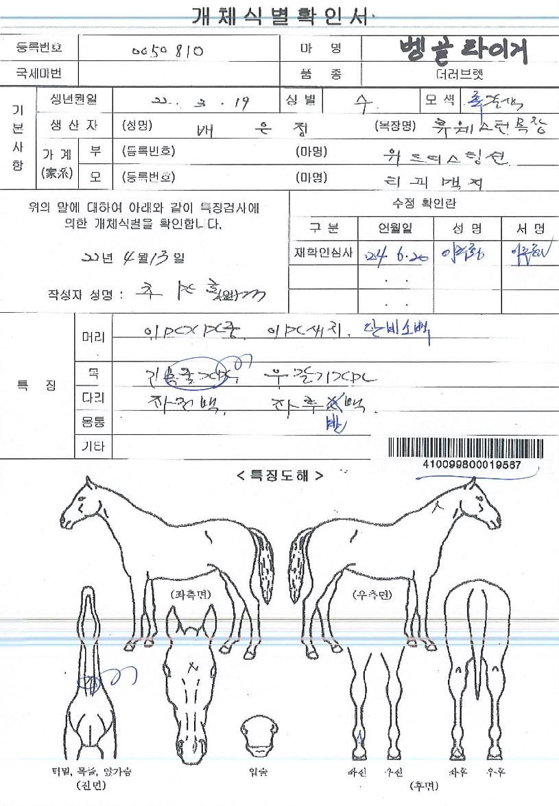 º¬°ñŸÀ̰ÅÀÇ Ãø¸é,¿ì¸é,µÞ¸é,µÎ»ó,´Ù¸®ÀÇ Æ¯Â¡µµÇØ