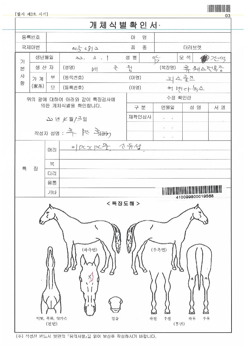 ´ÙÀ̾ÆÇǽºÀÇ Ãø¸é,¿ì¸é,µÞ¸é,µÎ»ó,´Ù¸®ÀÇ Æ¯Â¡µµÇØ