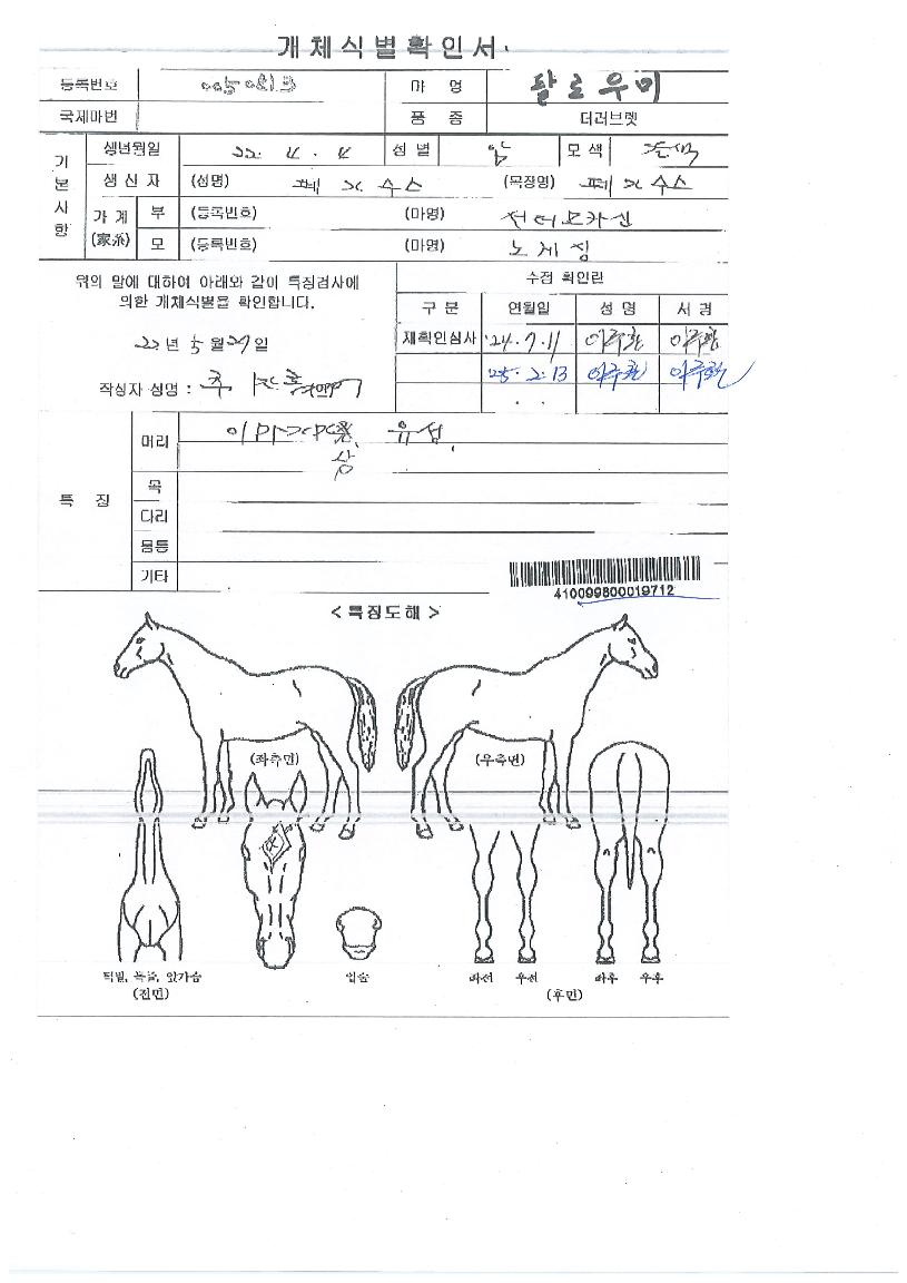 ÆÈ·Î¿ì¹ÌÀÇ Ãø¸é,¿ì¸é,µÞ¸é,µÎ»ó,´Ù¸®ÀÇ Æ¯Â¡µµÇØ