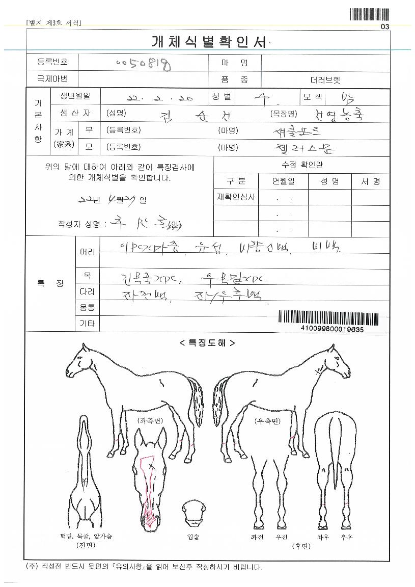 Á©·¯½º¹®ÀÚ¸¶ÀÇ Ãø¸é,¿ì¸é,µÞ¸é,µÎ»ó,´Ù¸®ÀÇ Æ¯Â¡µµÇØ