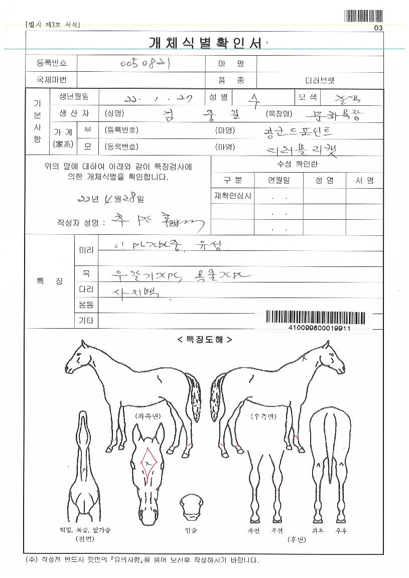 µð·¯ºí¸®Å·ÀÇ Ãø¸é,¿ì¸é,µÞ¸é,µÎ»ó,´Ù¸®ÀÇ Æ¯Â¡µµÇØ