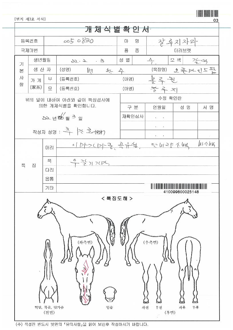 Àß·çÁöÀÚ¸¶ÀÇ Ãø¸é,¿ì¸é,µÞ¸é,µÎ»ó,´Ù¸®ÀÇ Æ¯Â¡µµÇØ