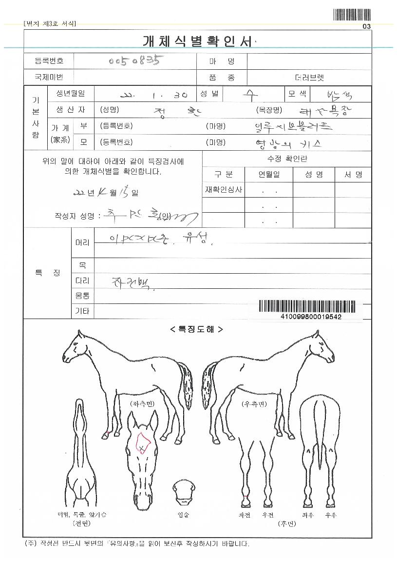 �����Ǳ׸��� ����,���,�޸�,�λ�,�ٸ��� Ư¡����