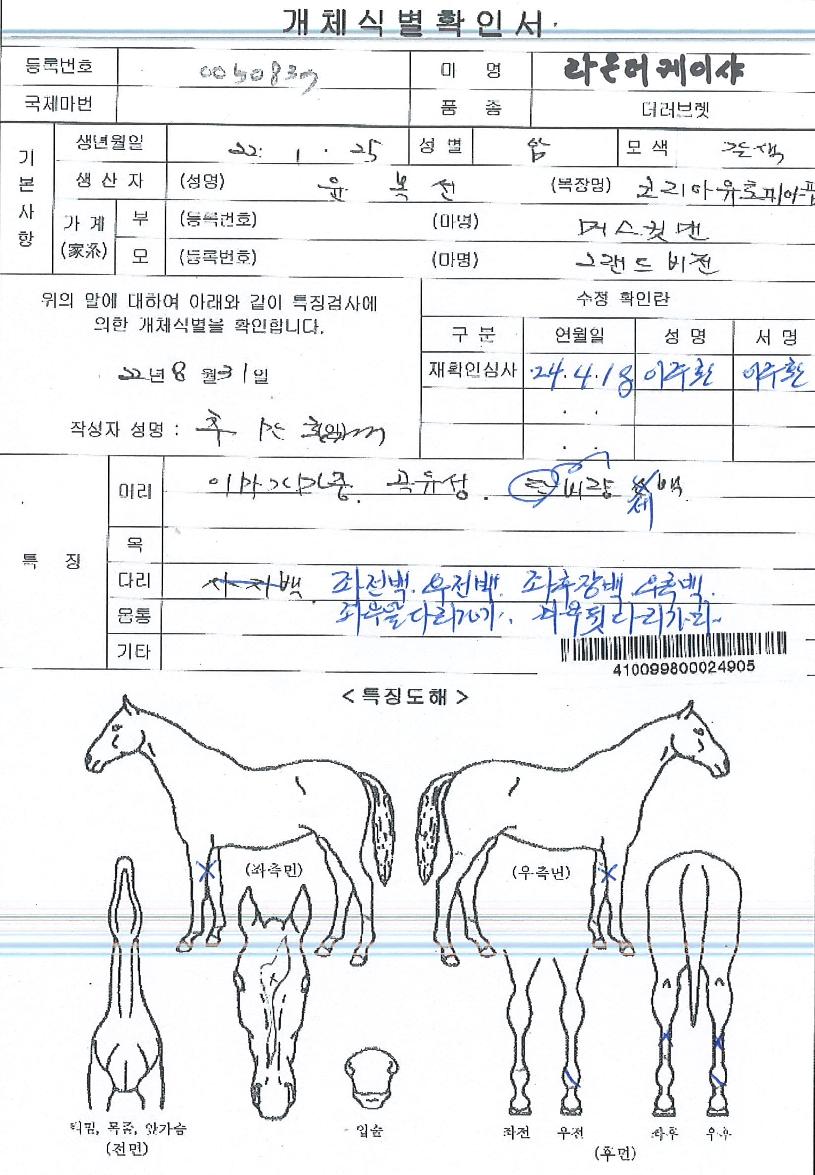 ��´����̻��� ����,���,�޸�,�λ�,�ٸ��� Ư¡����