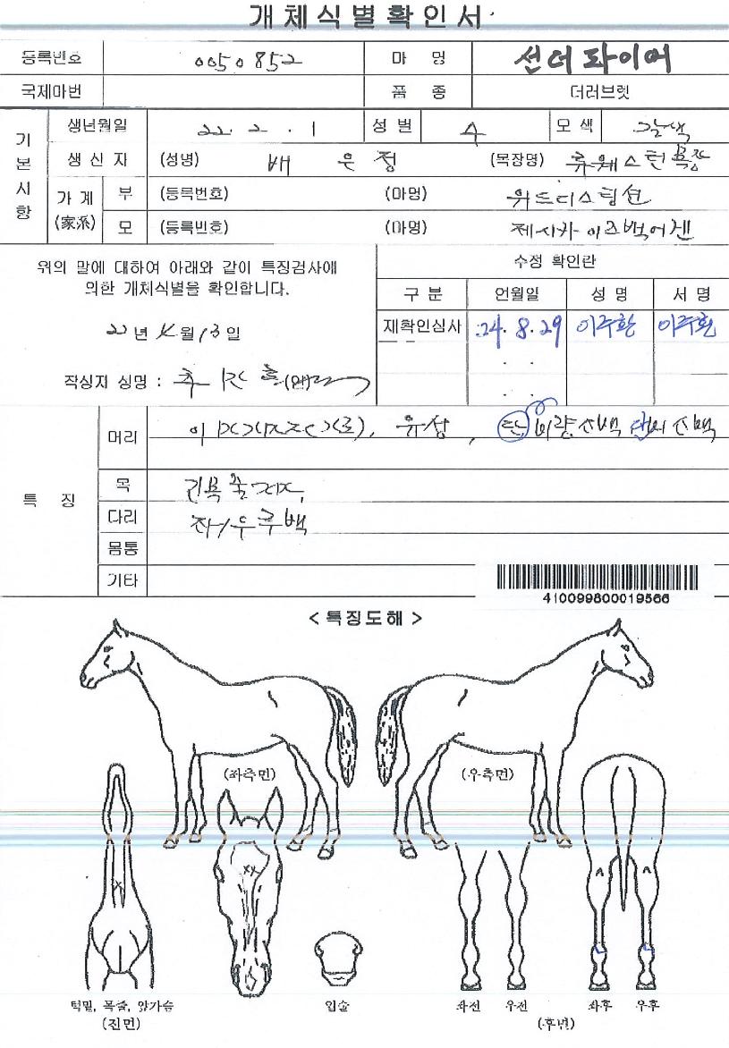 ¼±´õÆÄÀ̾îÀÇ Ãø¸é,¿ì¸é,µÞ¸é,µÎ»ó,´Ù¸®ÀÇ Æ¯Â¡µµÇØ