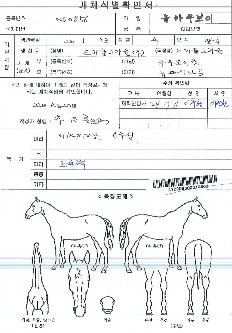 ´ºÄ«¿ìº¸ÀÌÀÇ Ãø¸é,¿ì¸é,µÞ¸é,µÎ»ó,´Ù¸®ÀÇ Æ¯Â¡µµÇØ