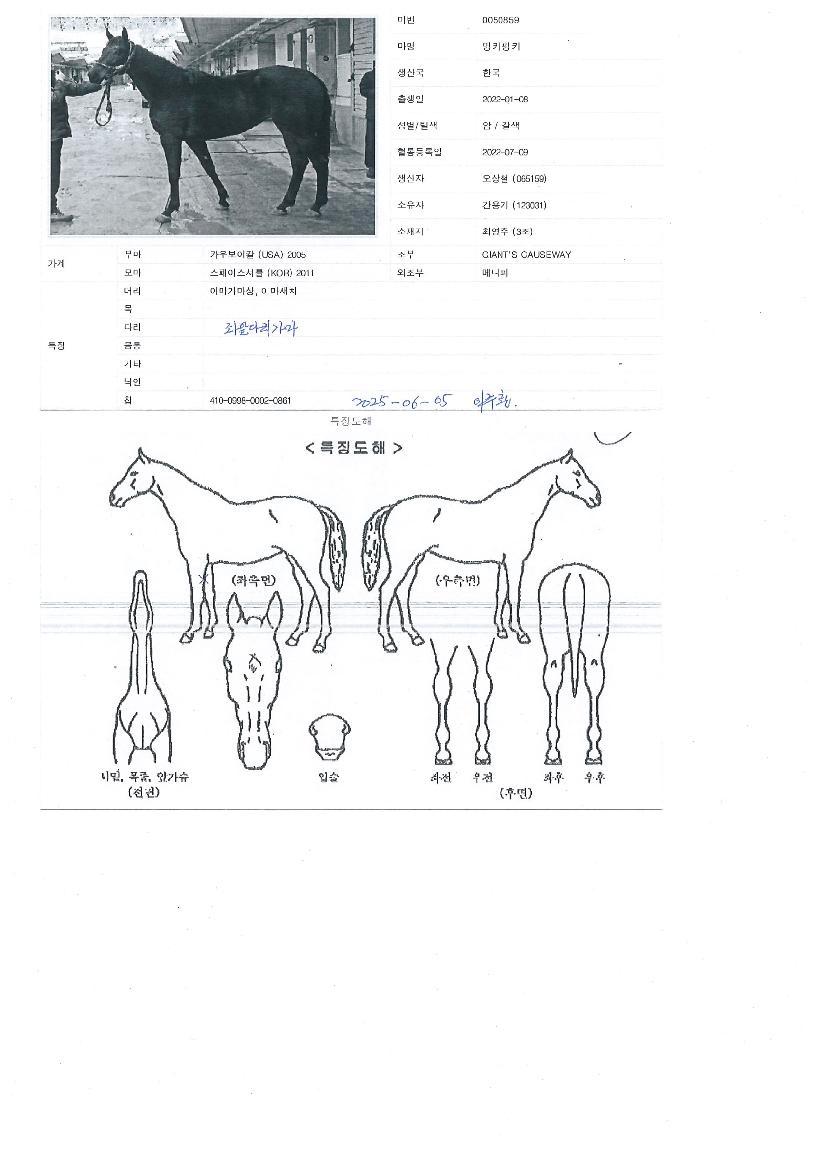 ¹ÖŰÇÎŰÀÇ Ãø¸é,¿ì¸é,µÞ¸é,µÎ»ó,´Ù¸®ÀÇ Æ¯Â¡µµÇØ