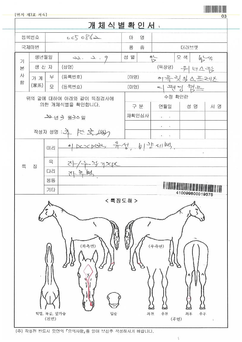 ¿À³ÊèÇÁÀÇ Ãø¸é,¿ì¸é,µÞ¸é,µÎ»ó,´Ù¸®ÀÇ Æ¯Â¡µµÇØ