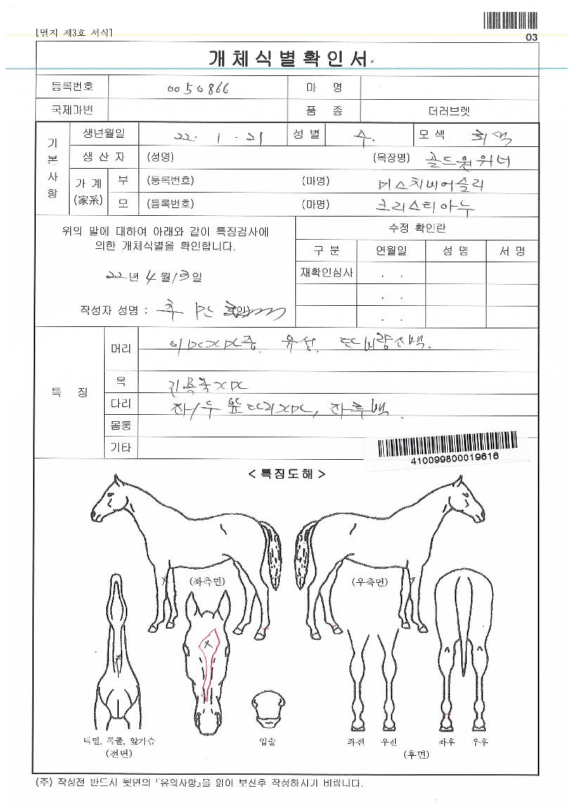 Àººû´ë·ÎÀÇ Ãø¸é,¿ì¸é,µÞ¸é,µÎ»ó,´Ù¸®ÀÇ Æ¯Â¡µµÇØ