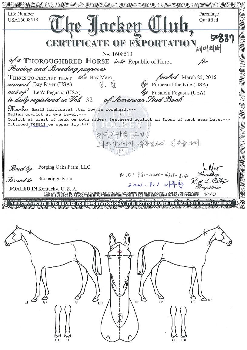 ���̸����� ����,���,�޸�,�λ�,�ٸ��� Ư¡����