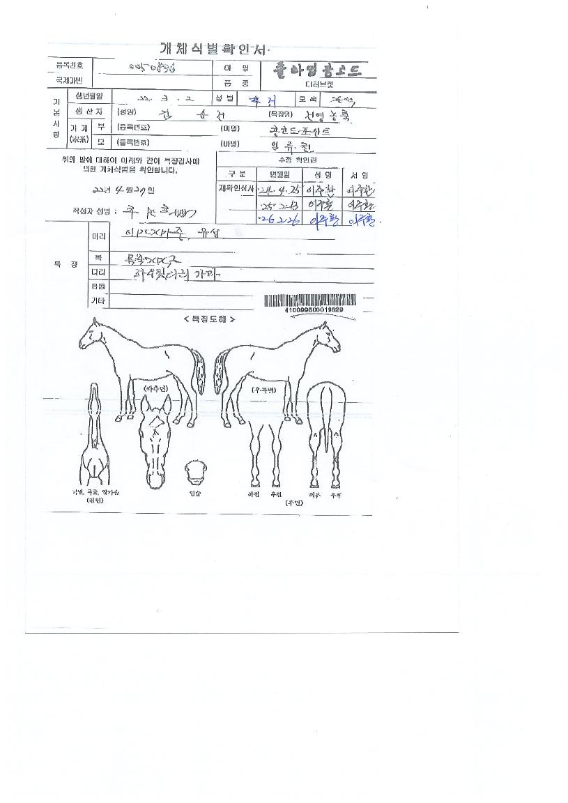 ÇöóÀ×ÄáÄÚµåÀÇ Ãø¸é,¿ì¸é,µÞ¸é,µÎ»ó,´Ù¸®ÀÇ Æ¯Â¡µµÇØ