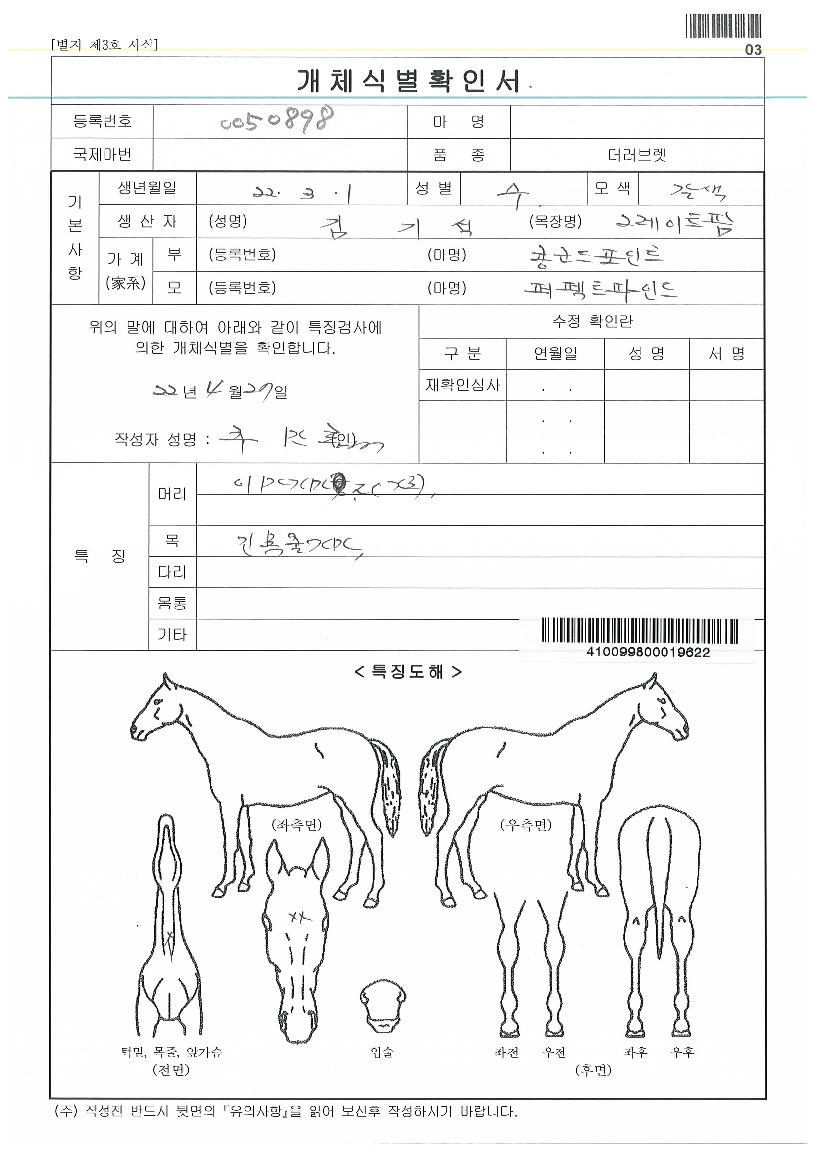 �ٺ�Ʈ������� ����,���,�޸�,�λ�,�ٸ��� Ư¡����