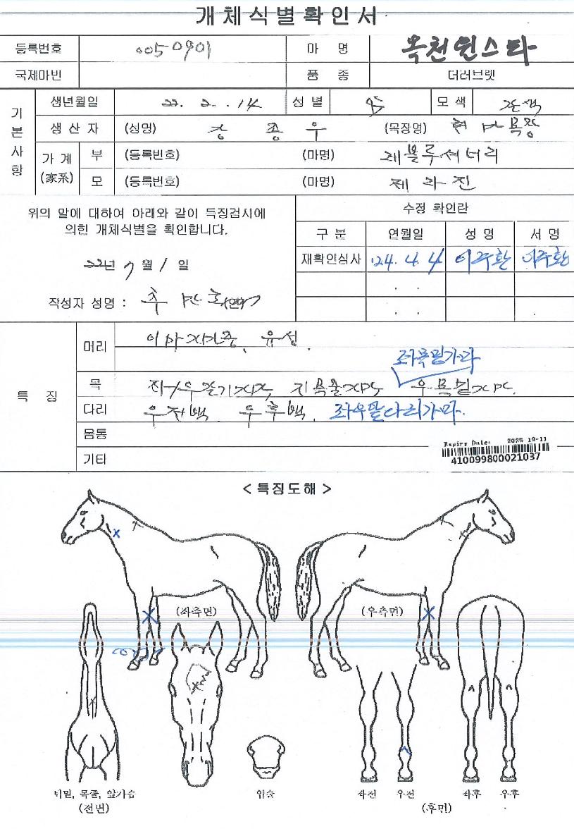 ¿ÁõÀ©½ºÅ¸ÀÇ Ãø¸é,¿ì¸é,µÞ¸é,µÎ»ó,´Ù¸®ÀÇ Æ¯Â¡µµÇØ