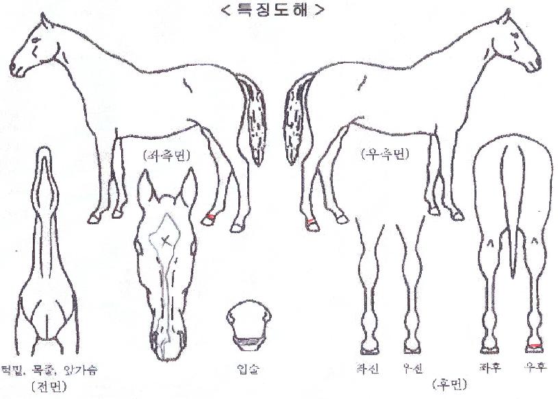 �÷���ž�� ����,���,�޸�,�λ�,�ٸ��� Ư¡����