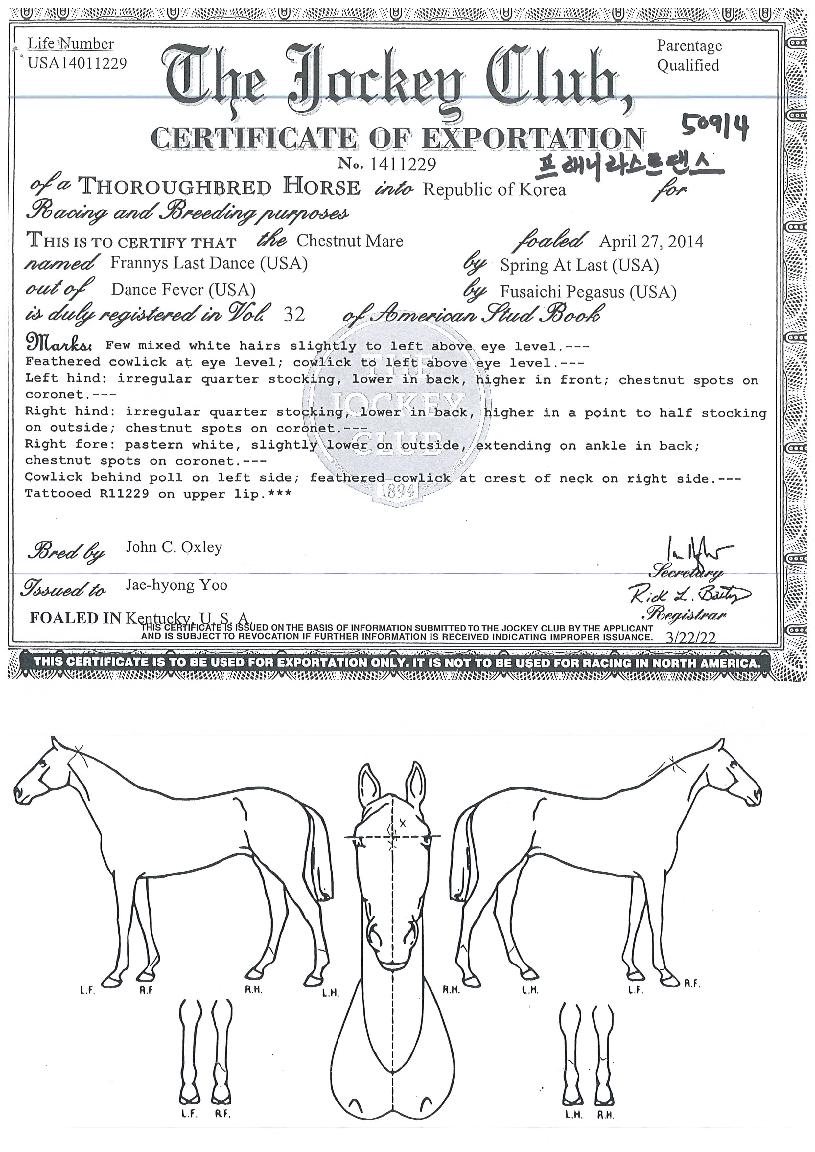 �����϶�Ʈ������ ����,���,�޸�,�λ�,�ٸ��� Ư¡����