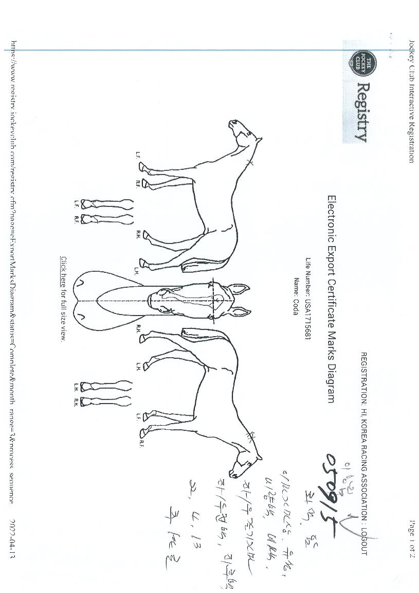 ÄÚ´ÙÀÇ Ãø¸é,¿ì¸é,µÞ¸é,µÎ»ó,´Ù¸®ÀÇ Æ¯Â¡µµÇØ