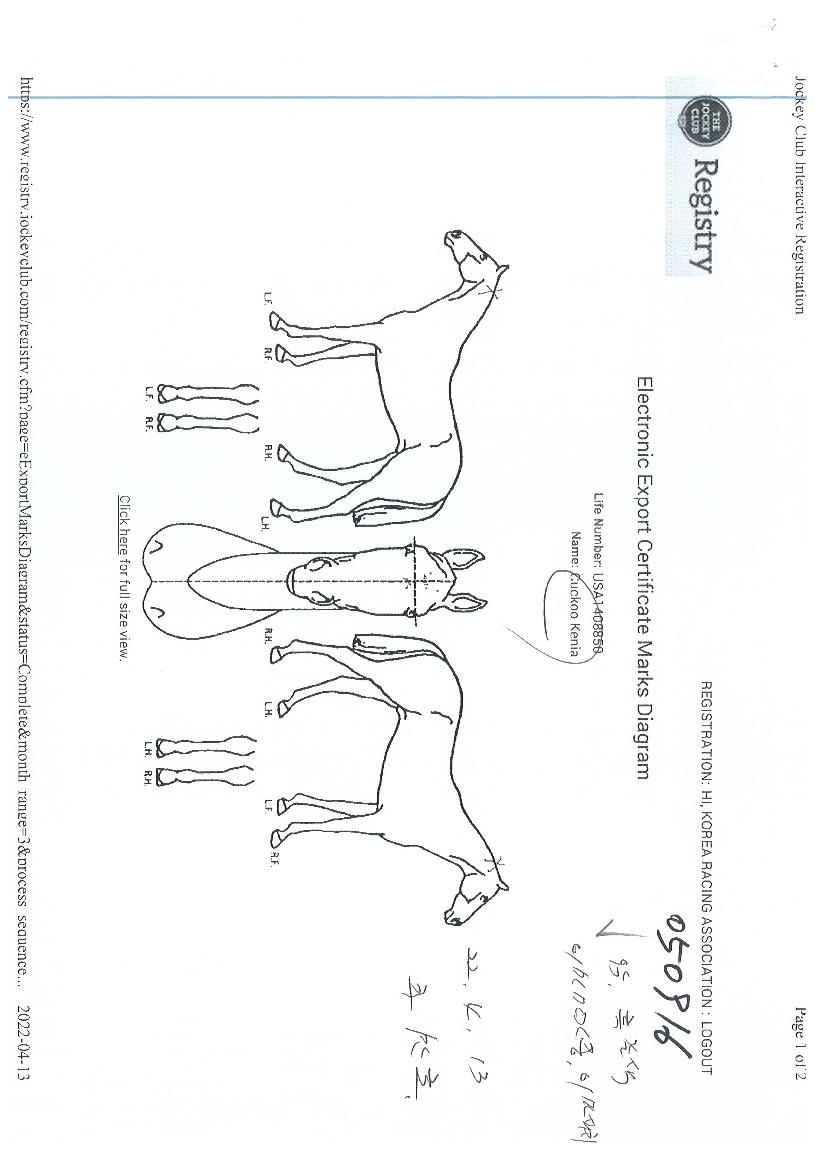 ����Ű�Ͼ��� ����,���,�޸�,�λ�,�ٸ��� Ư¡����